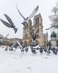 Paris under snow, March 1st 2018