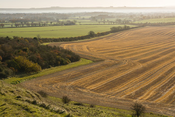 Fototapeta na wymiar Vale of Pewsey in Wiltshire, England