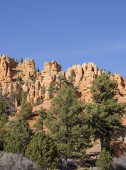 Fototapeta na wymiar Red Rocks Natural Habitat with Pine Trees