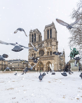 Paris under snow, March 1st 2018