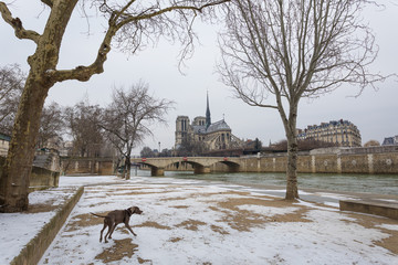 Paris under snow, March 1st 2018