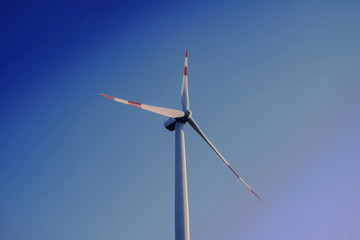 Wind turbines produce environmentally friendly alternative energy without destroying nature.