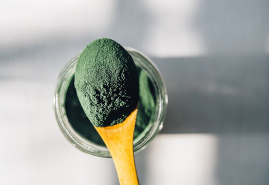 Spirulina powder in a wooden spoon