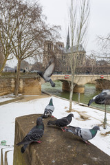 Paris under snow, March 1st 2018