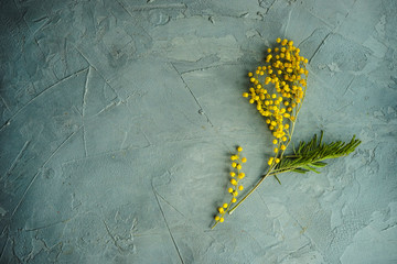 Spring interior concept