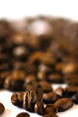 Coffee beans