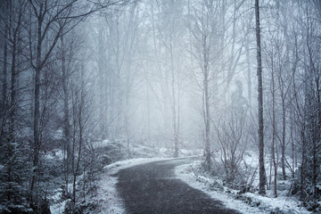 Beautiful snowy forest road at snowfall. 