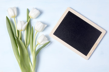 the Tulip with blank picture frame on white background