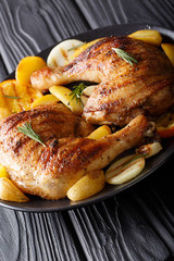 Delicious barbecue chicken legs with grilled fruits and vegetables close-up on a plate. vertical