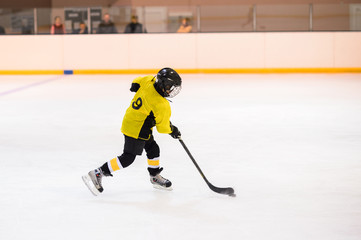 Fototapeta premium Kids ice hockey.