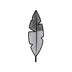 feather bird icon image vector illustration design 