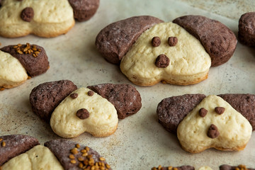 Cookies in the form of dogs in the form for baking