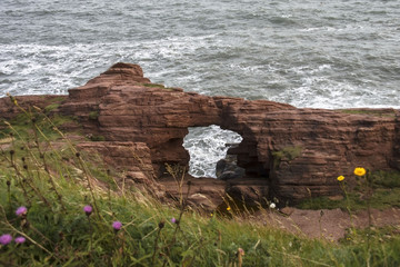 Seaton Cliffs and Auchmithie. Needle E'e, Arbroath, Scotland, United Kingdom. August 2015 © iweta0077