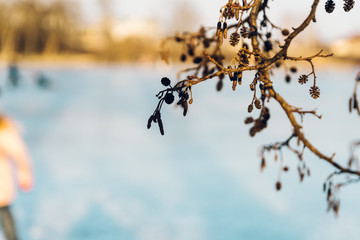 People skating on a frozen pond, out of the depth of field