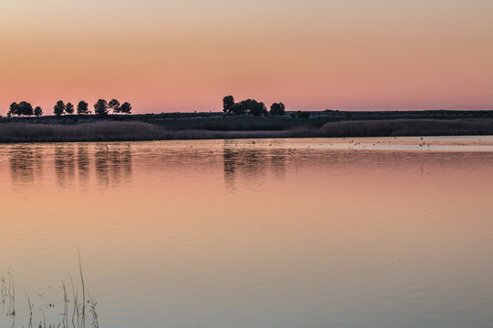 The Taray de Queros lagoon is located on a wide plain covered with deposits from rivers and is one of the best examples of floodplain associated with river channels. It is colonized by underwater plan