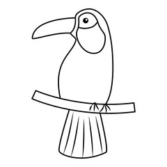 toucan bird tropical icon image vector illustration design  single black line