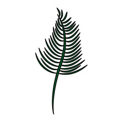 single leaf icon image vector illustration design 