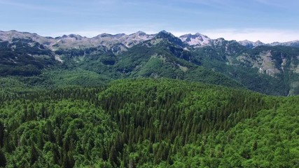 AERIAL VIEW: flight over alpian forest around Bohinj lake , camera moving forvards .Triglav National Park