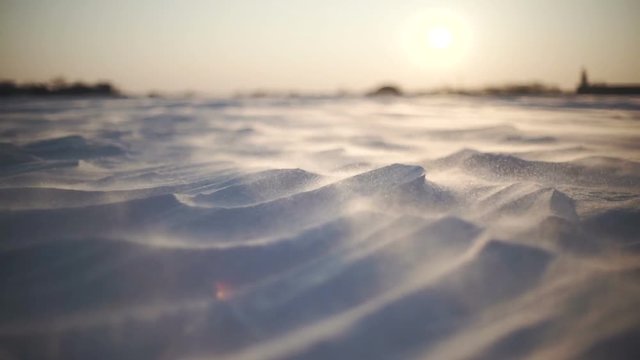 Arctic Storm. Close-up shot of snow storm at sunset. Wind picks snowflakes and carries them across the field