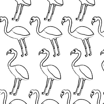 flamingo bird tropical pattern image vector illustration design  black sketch line
