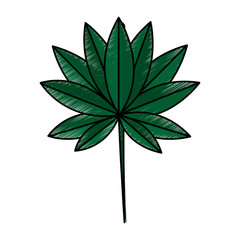 single leaf icon image vector illustration design 