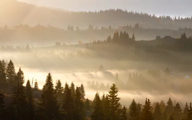 Foto auf Acrylglas Wald im Nebel Erste Sonnenstrahlen des Sonnenaufgangs in den Karpaten.