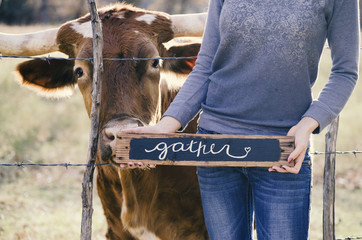 Person holding gather sign with cow for farm thanksgiving holiday.