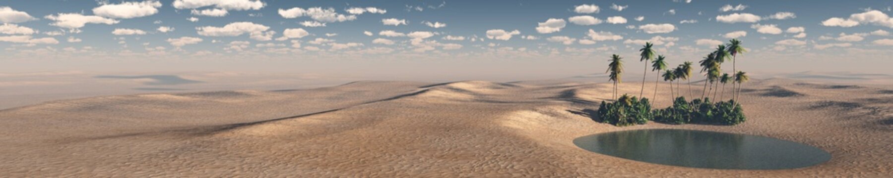 oasis, a panorama of the desert of sand
3D rendering

