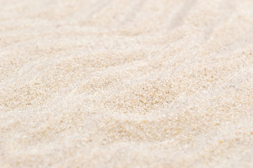 Fototapeta na wymiar Texture of sand as natural background. Close up.