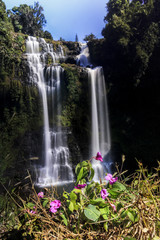 TadYeung waterfall