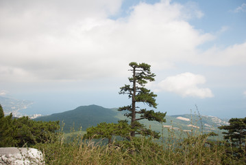 Crimea, Mount Ai-Petri, Yalta.