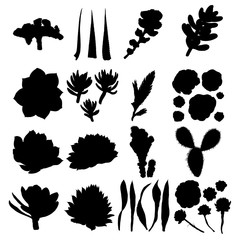 Black silhouettes cactus set. Hand drawn plants. Exotic floral sketch illustration collection. Different cactuses in monochrome style. Vector.