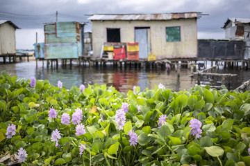 Houses on stilts in the village of Ologa, Lake Maracaibo, Venezuela