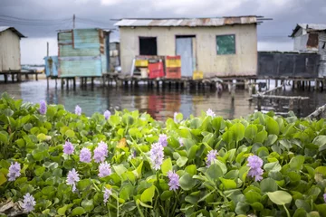 Foto op Canvas Houses on stilts in the village of Ologa, Lake Maracaibo, Venezuela © sunsinger