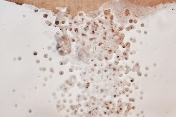 water drops in the snow. It's spring