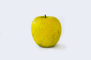  yellow apple on a white background