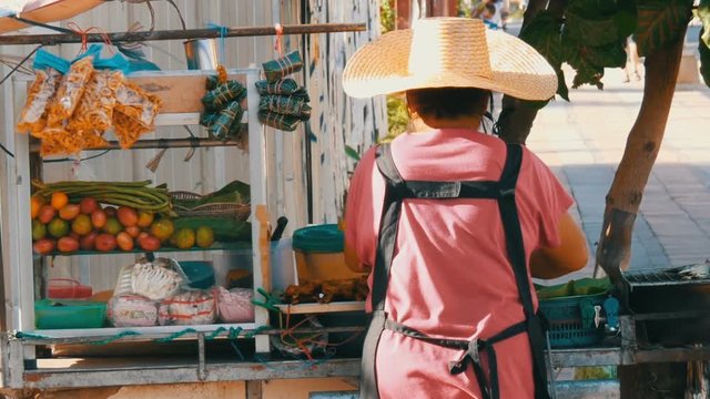 Thai woman sells Thai street food on a portable trolley. Asian exotic dishes