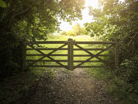 Closed wooden gate on footpath amidst plants