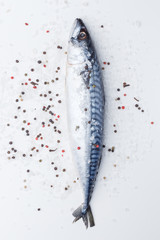 Raw sardines on a table with ice. View from above.