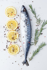Raw sardines on a table with ice and spices. View from above.
