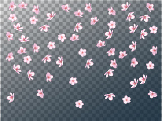 Pink Cherry Blossom Vector Confetti. Holiday Wedding Birthday Decoration Realistic Pink Cherry Blossom Confetti. Spring Apple, Sakura or Apricot Blooming Showering. Light Magic Flying Petals Design.