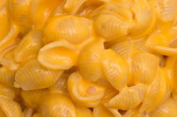 A Background of Creamy Macaroni Shells and Cheese