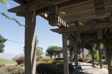 Fototapeta premium The Garden 