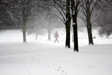 london, uk, 2nd march 2018 - Green Park covered in snow as comuters walk to work beast from the east meets storm sally