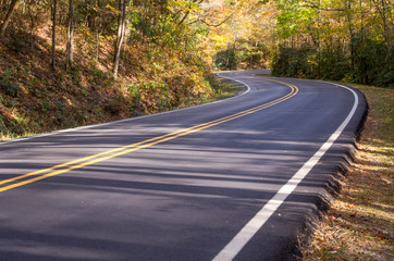 Winding Road in Autumn