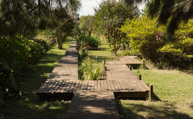 Camino de madera de un jardín