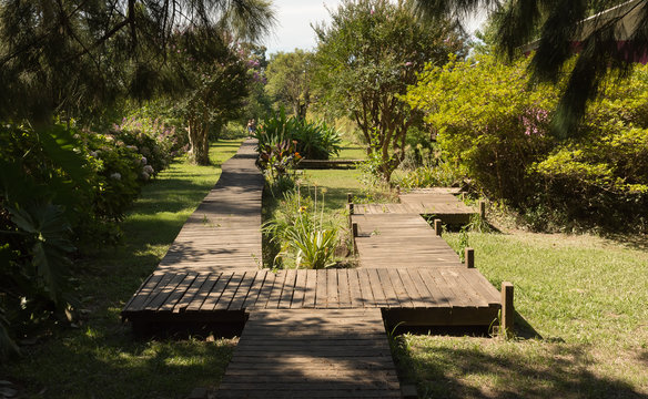 Camino de madera de un jard&iacute;n