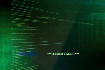 Security alert on a computer system and server
