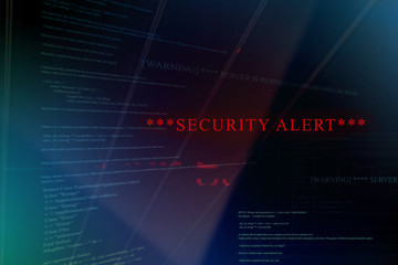 Security alert on a computer system and server