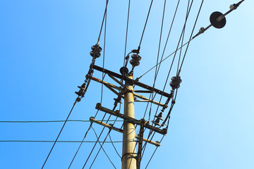 Under the sky, trees near the poles